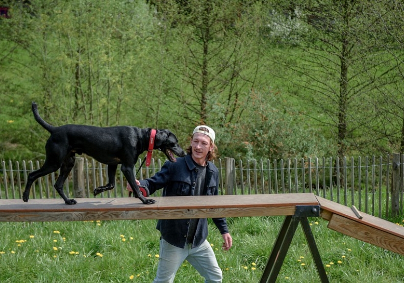 Parcours d'agility canine - parc du Valfuret - Agrandir l'image, fenêtre modale